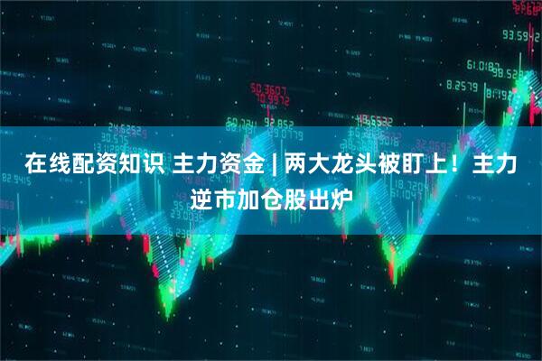 在线配资知识 主力资金 | 两大龙头被盯上！主力逆市加仓股出炉